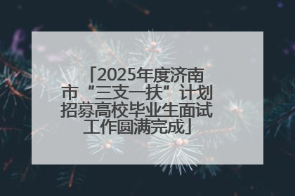 2025年度济南市“三支一扶”计划招募高校毕业生面试工作圆满完成